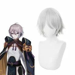 Cosplay Clans FGO Fate/Grand Order Lang Lin Wang 30cm Short Silver Grey Halloween Cosplay Wigs