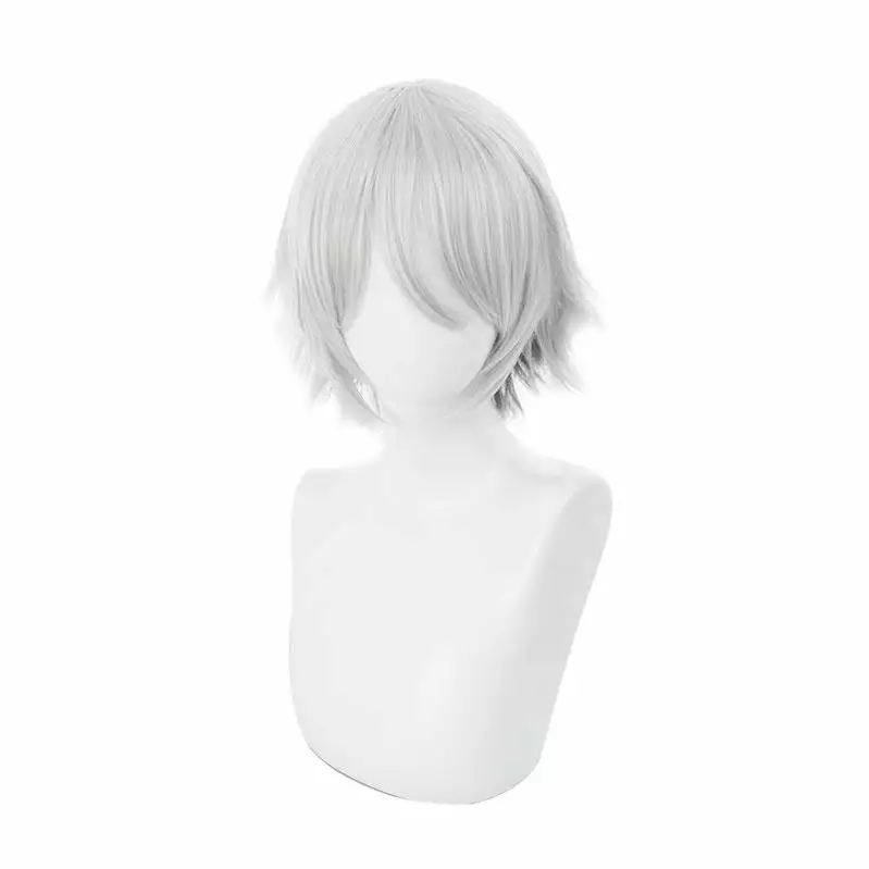 Cosplay Clans FGO Fate/Grand Order Lang Lin Wang 30cm Short Silver Grey Halloween Cosplay Wigs 4 Cosplay Clans FGO Fate/Grand Order Lang Lin Wang 30cm Short Silver Grey Halloween Cosplay Wigs - Image 2