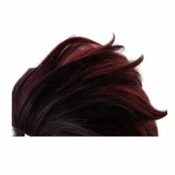 Cosplay Clans Anime Demon Slayer Kimetsu No Yaiba Tanjirou Kamado Red Mix Black Long Ponytail Cosplay Wigs -Cosplay Clans Sales 2 5e998b69 62d6 4a88 8ca8 8c56d5a7834a