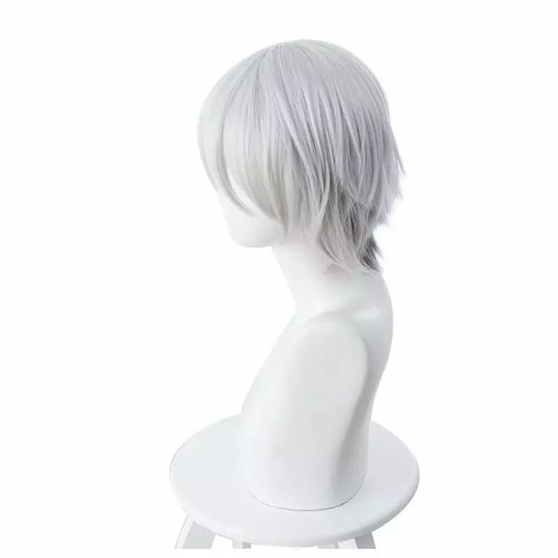 Cosplay Clans FGO Fate/Grand Order Lang Lin Wang 30cm Short Silver Grey Halloween Cosplay Wigs 5 Cosplay Clans FGO Fate/Grand Order Lang Lin Wang 30cm Short Silver Grey Halloween Cosplay Wigs - Image 3