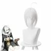 Cosplay Clans FGO Fate/Grand Order Gray Archisorte Silver Grey Braided Bun Cosplay Wigs