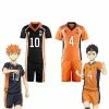 Cosplay Clans Anime Haikyuu Karasuno High School Volleyball Club Hinata Shoyo And All Teammates Uniform Cosplay Costume -Cosplay Clans Sales HinataShoyoNishinoyaYuu